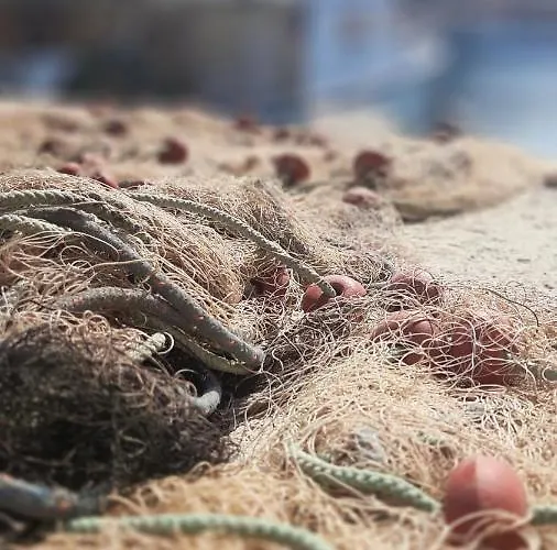 公寓 Irina 曼德雷