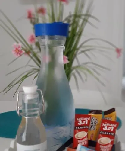 公寓 Irina 曼德雷